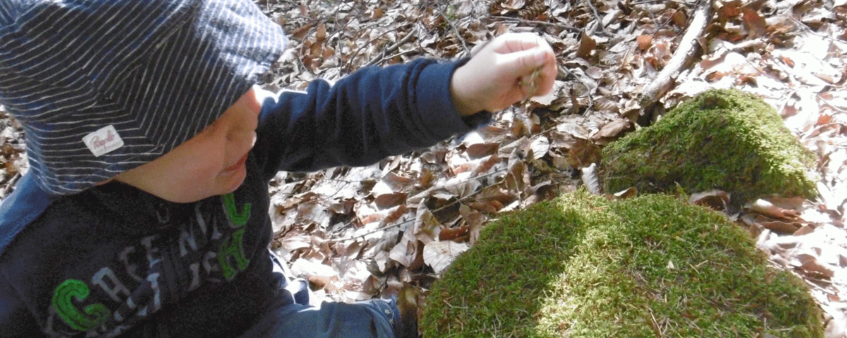 Ein kleines Kind hockt vor einem bemoosten Baumstumpf
